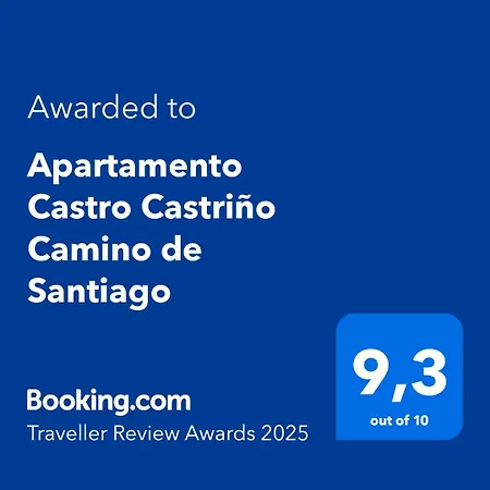 Castro Castrino Camino De Santiago ヴィーゴ
